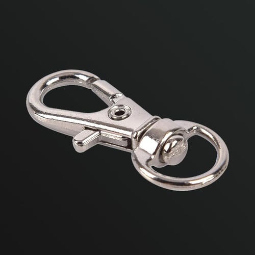 10Pcs Aluminum Snap Hook Carabiner D-Ring Key Chain Clip Keychain Hiking  Camping 