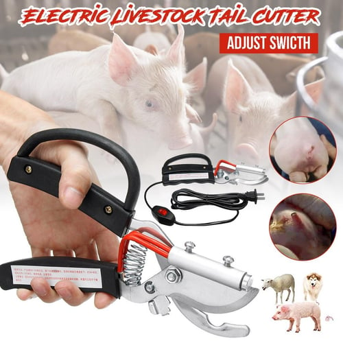 piglets sheep goat tail docking clamp