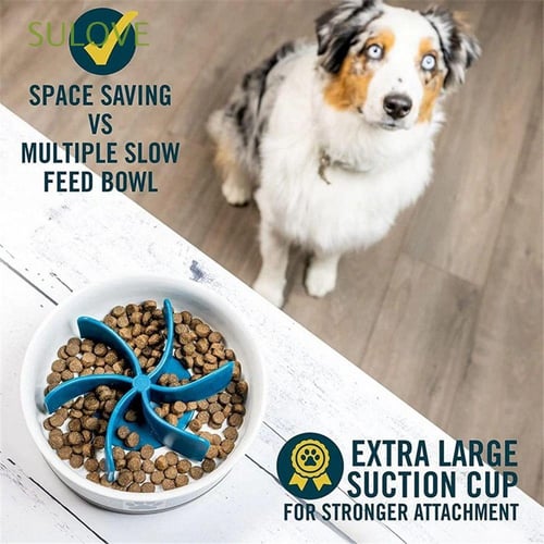 New Slow Feed Dog Bowl Insert Puzzle Maze Feeder For Fast Eaters Suction  Cup Dog Accessories For Dogs Water Bowl For Dogs Pets - Dog Feeders -  AliExpress