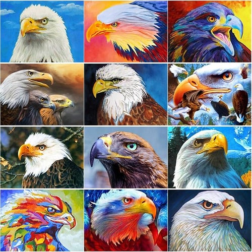 5D Diamond Painting Bird Eagle Party Decoration Diamond Art Tools