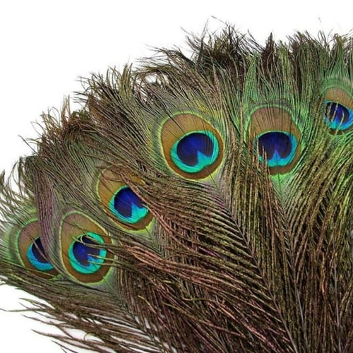 10pcs Simulated Peacock Feathers, Diy Earrings, Decoration
