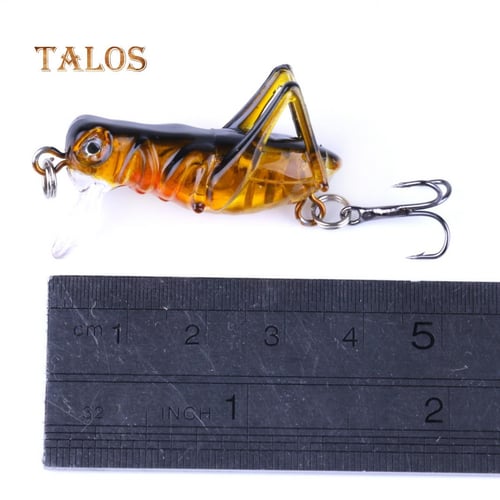 Simulation Grasshopper Locust Insect Shape Artificial Fishing Lure Bait  Tackle Health - buy Simulation Grasshopper Locust Insect Shape Artificial  Fishing Lure Bait Tackle Health: prices, reviews
