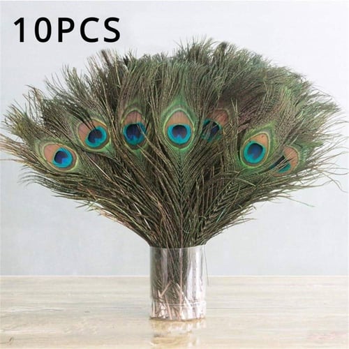 Natural Peacock Feathers - 10pcs - Trimming Shop