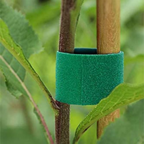 Quick Ties Velcro Tape: Garden and Tomato Supplies