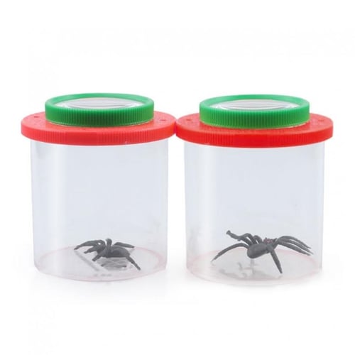 Portable Insect Observer Box Magnifier Toy Insect Feeding