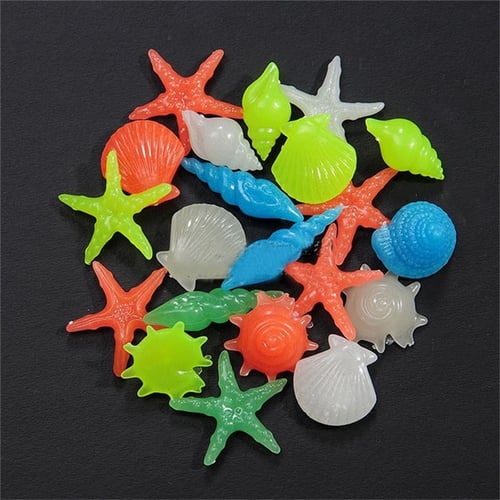 20/50/100PCS Real Natural Mixed Starfish Seashells Ocean Decor Craft Making  Fish Tank Wedding Decoration Theme Party DIY Crafts