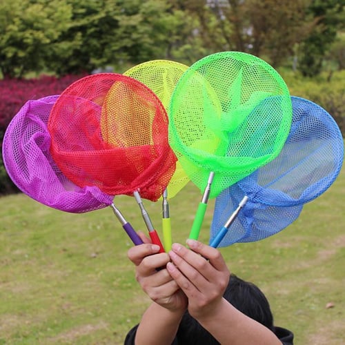 Extendable Kids Telescopic Butterfly Net Toy Catching Bugs Insect Fish Gift  - buy Extendable Kids Telescopic Butterfly Net Toy Catching Bugs Insect Fish  Gift: prices, reviews