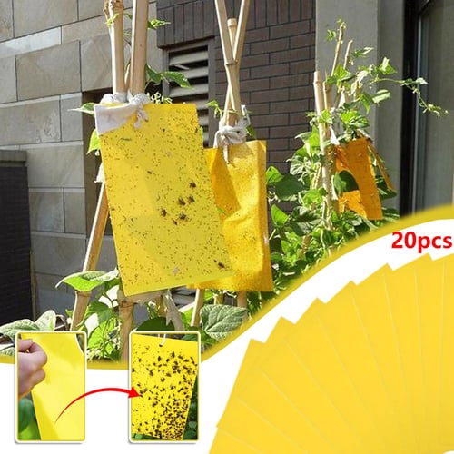 Flying Insect Traps Gnat 12pcs Sticky Trap Sticky Bug Traps Paper