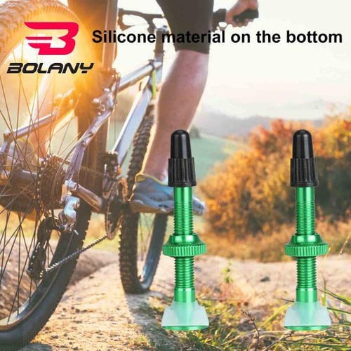 2Pcs Extended Valves Fine Fit Corrosion Resistant Silicone Bottom Tubeless  Tires Gas Nozzle for Bike - buy 2Pcs Extended Valves Fine Fit Corrosion  Resistant Silicone Bottom Tubeless Tires Gas Nozzle for Bike