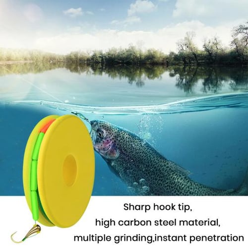 2Pcs Fishing Hook Line with Loop High Strength Corrosion Resistant Reusable  Versatility Use Floating Fly Line Fishing Tool - buy 2Pcs Fishing Hook