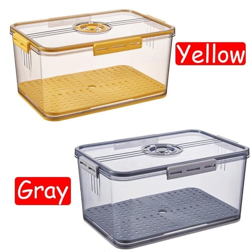 Kitchen Refrigerator Storage Bins PET Thickened Timekeeping Box Food Grade  Frozen Storage Box Kitchen Organizer Containers Case