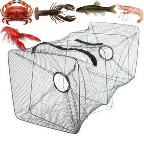 Foldable Fishing Cage Fish Carp Bait Cage Basket Fish Crayfish Lobsters  CatchWR