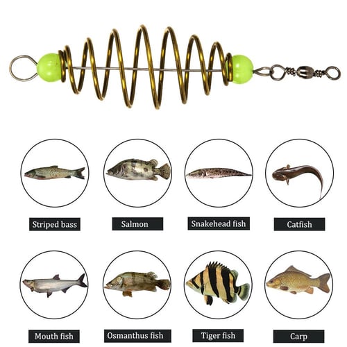 4 Pcs spring fixture fishing coarse fishing hook fishing accessories carp  fishing tackle small rig fish hook bass Metal Hooks with Spring Feeder  fishing tackle Fishing Accessory : : Sports & Outdoors