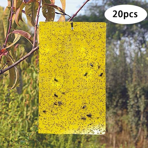 Dual-Sided Yellow Sticky Gnat Traps Indoor/Outdoor Insect Fungus Gnats,  Whiteflies, Aphids, Leaf Miners,Thrips(20-Count)