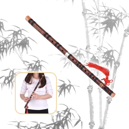 Bamboo Flute Beginner Chinese Flute Brass Bamboo Dizi Musical