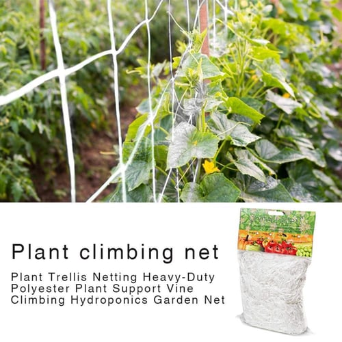 Mesh Strand Gardening Net Flower Vegetable Morning Glory Vine