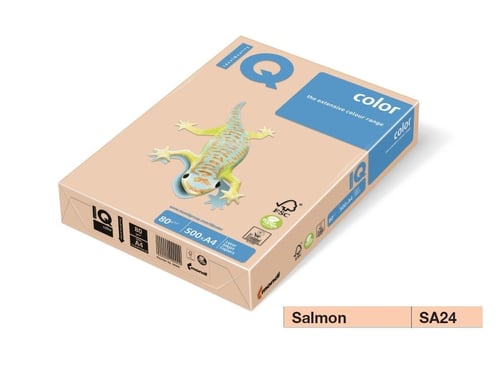 Mondi Dolphin® - Box 5 Risme Carta A4 - 500 fogli - 80gr. standard - Eco  Progress