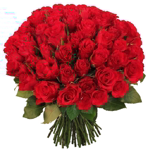 Fleurs de La Sagesse 100 Red Roses buy Fleurs de La Sagesse 100
