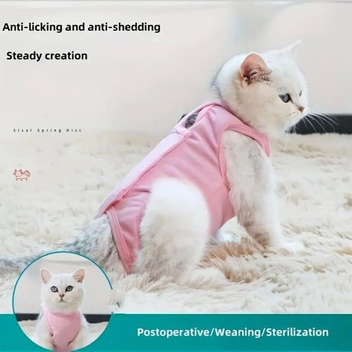 Female cat accessories shop
