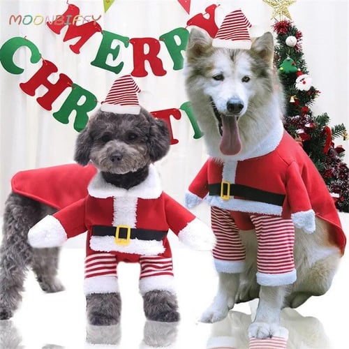 Large dog christmas outfits top