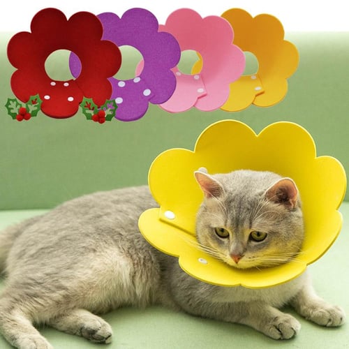 Felt cat collar 2025