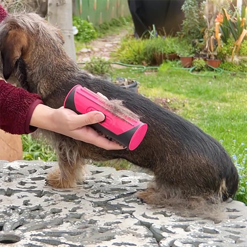 Magic hair brush for pets sales