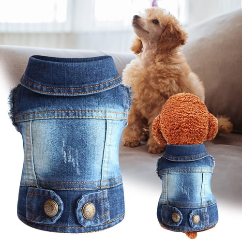 Denim jacket clearance for small dog
