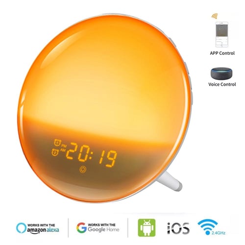 Google home cheap radio alarm