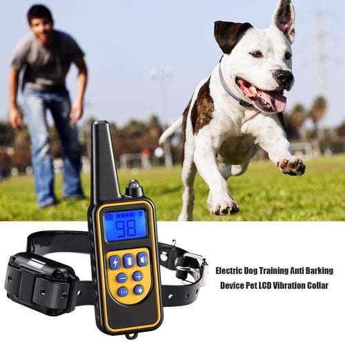 Pet care genuine dog training collar top