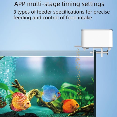 Goldfish auto feeder shop