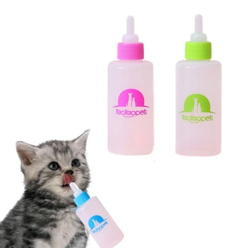 Kitten feeding bottle pets at home on sale