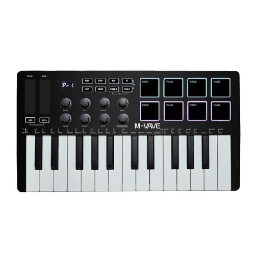 Mini hot sale arranger keyboard