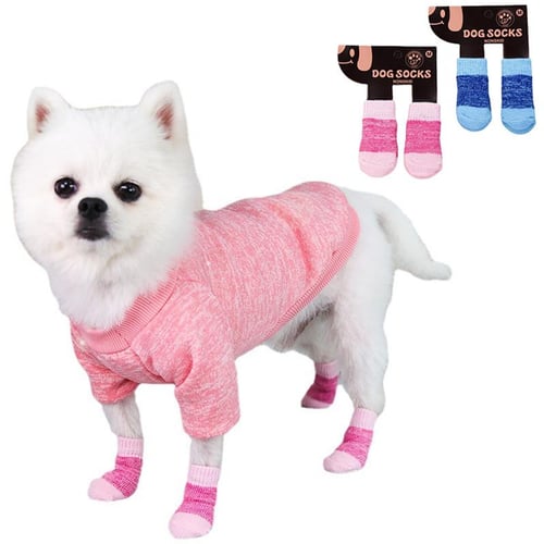 Buy dog socks outlet