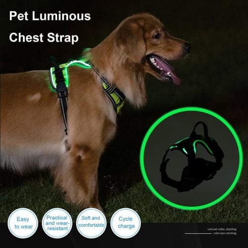 Lighted leashes online