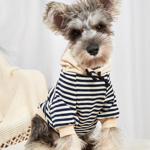 Medium dog outfits outlet