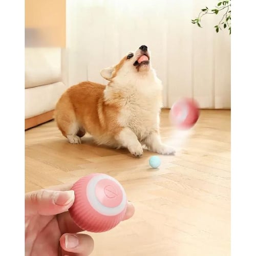 Moving dog cheap ball toy