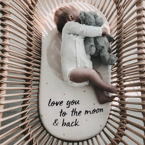 I love you to the moon and back bassinet clearance