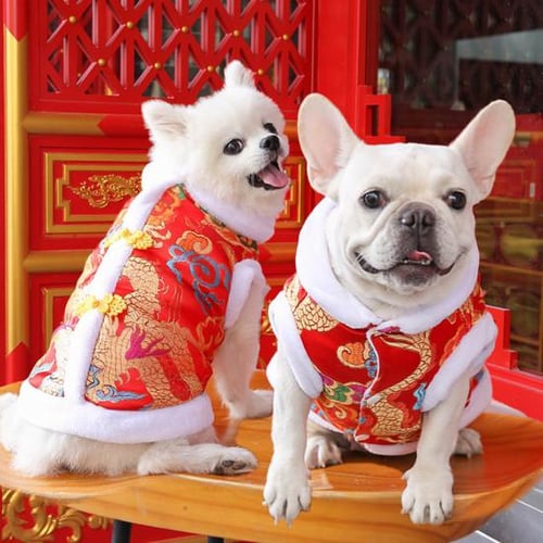 Fashion pet dog coats clearance
