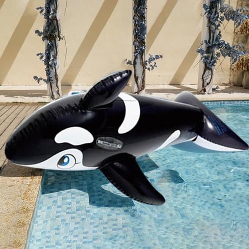Whale floatie 2024