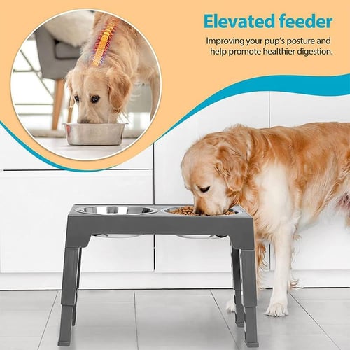 Big dog feeder best sale