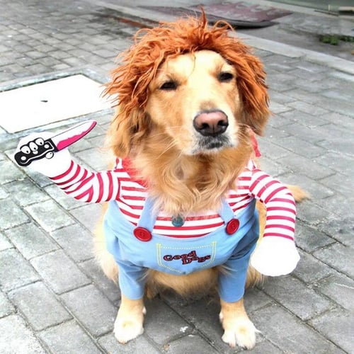 Funny bulldog costumes best sale