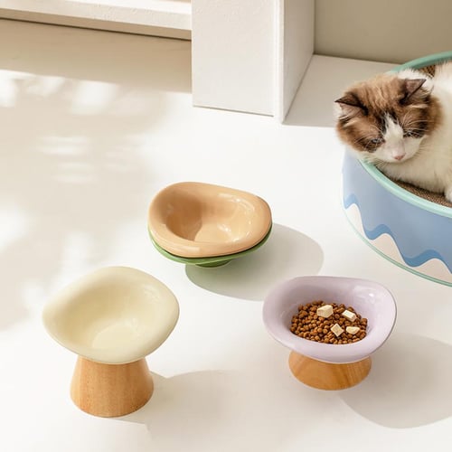Cat Raised Tilted Food Water Bowl Pet Dogs Elevated Drinking