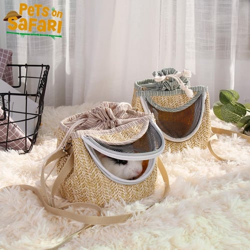 Hedgehog carrier backpack online