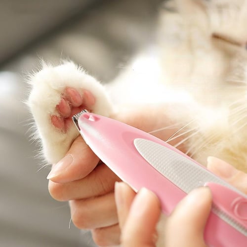 Cat grooming hot sale tools shaver