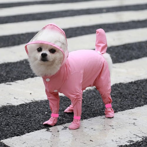 Yorkie raincoat cheap