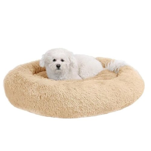 Comfy marshmallow dog bed clearance