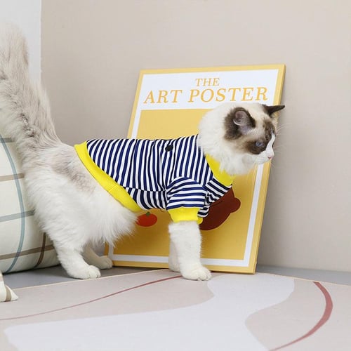 Wholesale pet clothes sales