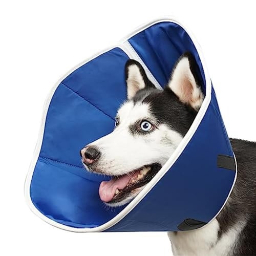 Elizabethan dog cone clearance