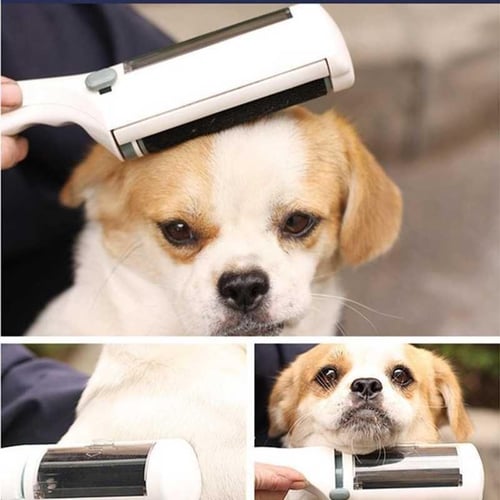 Electrostatic animal clearance hair remover