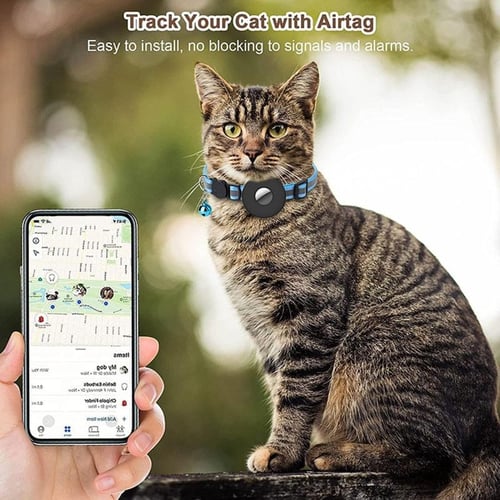 Gps tracker for hotsell pet birds
